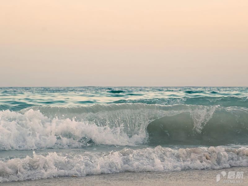 测试